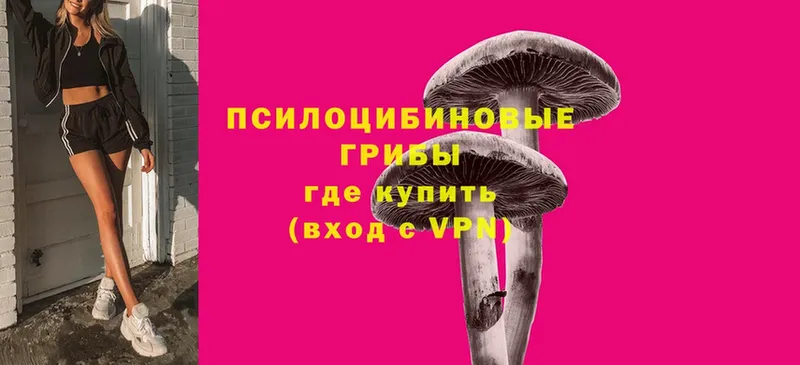 Галлюциногенные грибы MAGIC MUSHROOMS  blacksprut зеркало  Бавлы 